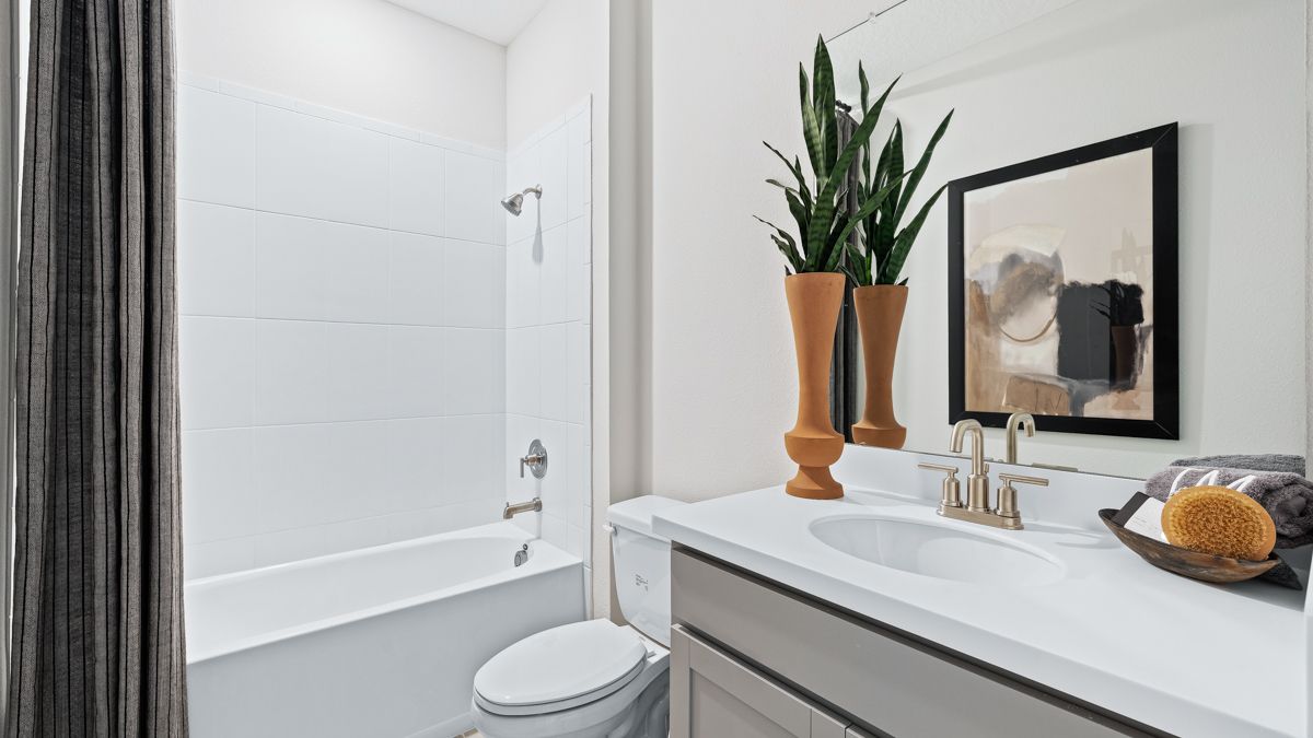 Taylor Morrison - Timber Ridge - Palm...