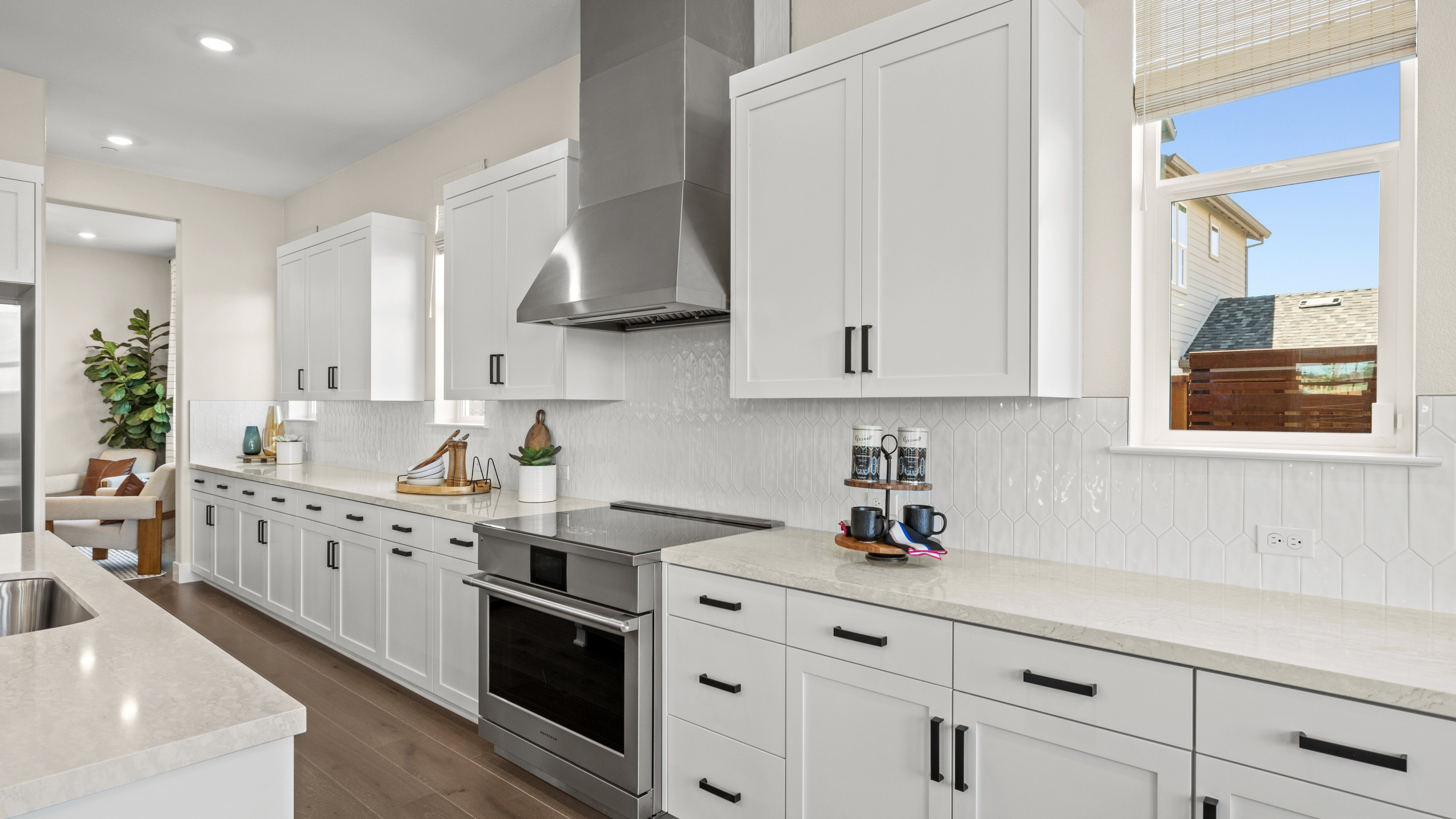 014 - Larkspur_Plan_3