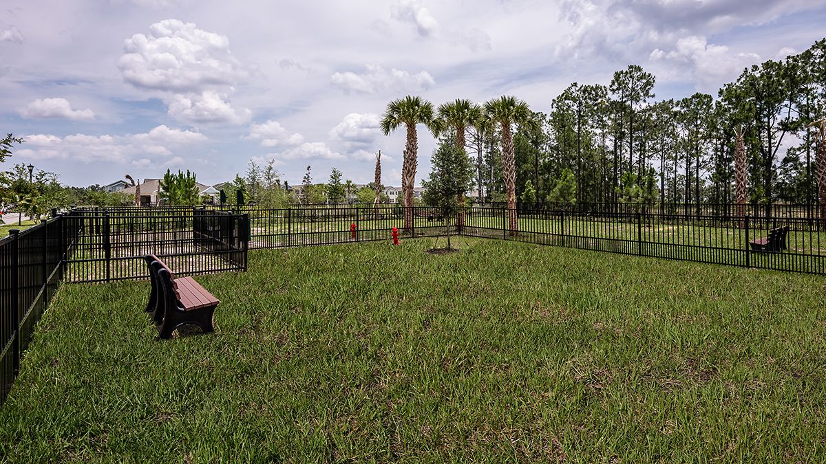 Harvest-at-Ovation-0596-1200x675