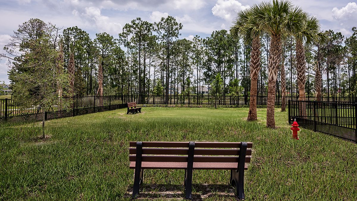Harvest-at-Ovation-0597-1200x675