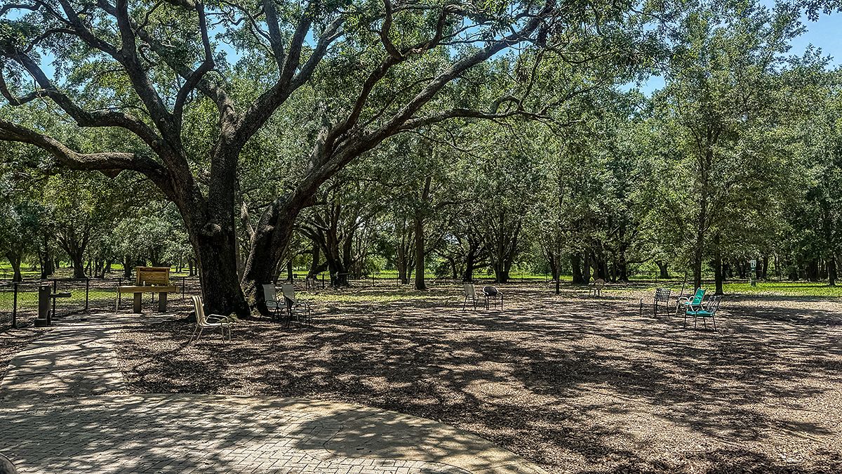 Lake-Hiawatha-Preserve-1672-1200x675