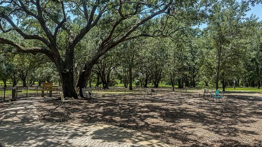 Lake-Hiawatha-Preserve-1672-1200x675