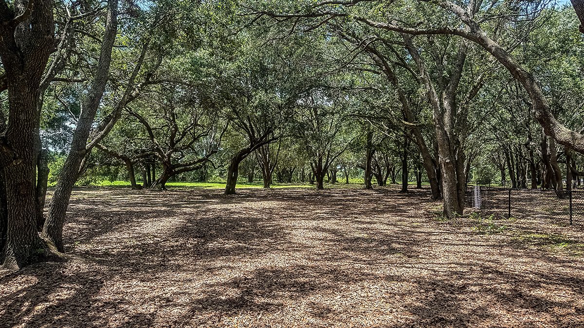 Lake-Hiawatha-Preserve-1673-1200x675