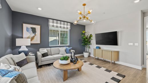 115 Marigold