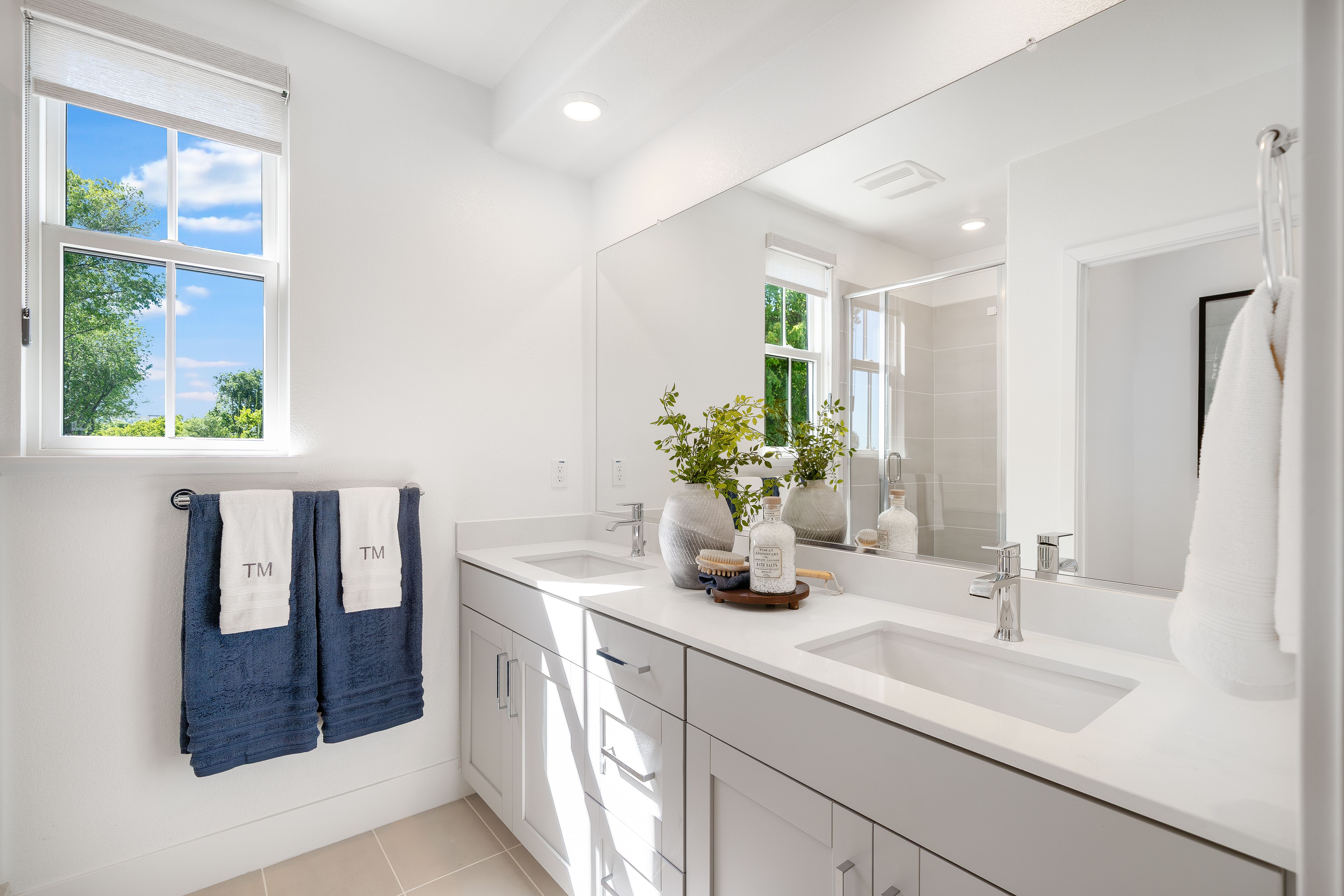 Amelia 3BX Primary Bath 1