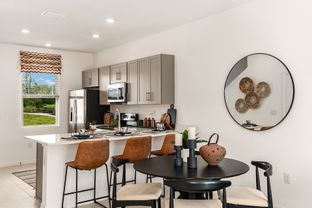 Ivy - The Townhomes at Skye Ranch: Sarasota, Florida - Taylor Morrison