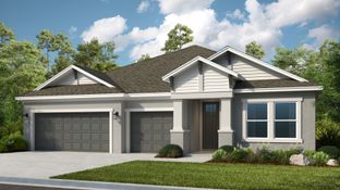 Maui - Timber Ridge: Plant City, Florida - Taylor Morrison