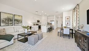 The Towns at Skye Ranch - Sarasota, FL