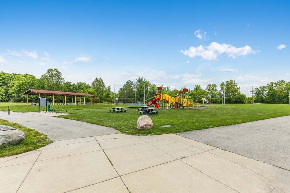 Lions Park 2