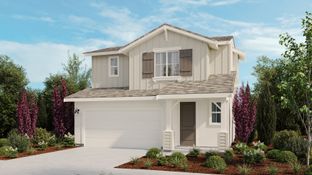 Alderwood - The Pointe: Vacaville, California - Taylor Morrison