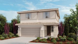 Rockrose - The Pointe: Vacaville, California - Taylor Morrison