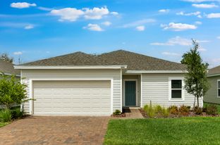 Buttonwood - Coopers Meadow: Jacksonville, Florida - Taylor Morrison