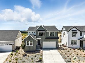 4225 Ridgewalk Point (Palisade)