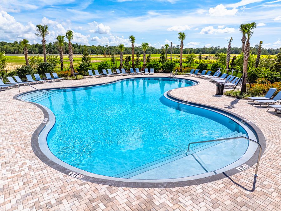 Taylor Morrison  Palm Wind Amenity  Hudson FL15