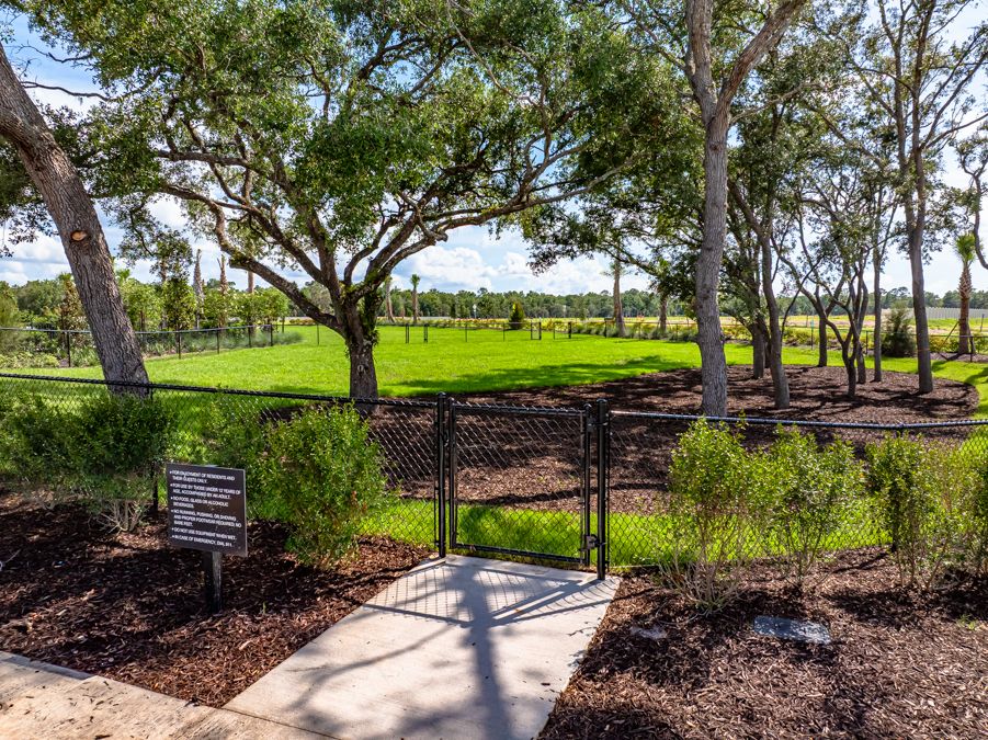 Taylor Morrison  Palm Wind Amenity  Hudson FL23