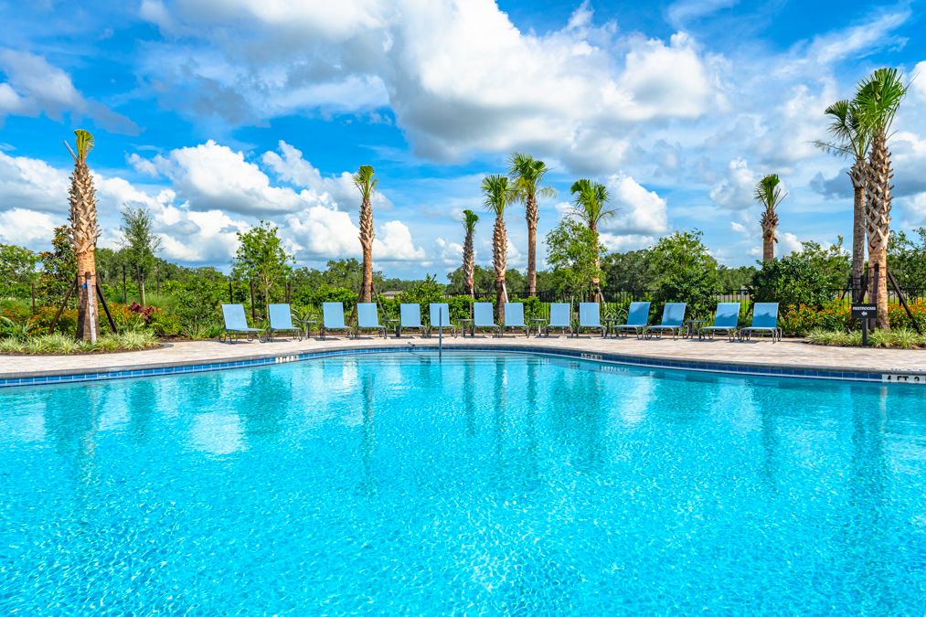 Taylor Morrison  Palm Wind Amenity  Hudson FL71