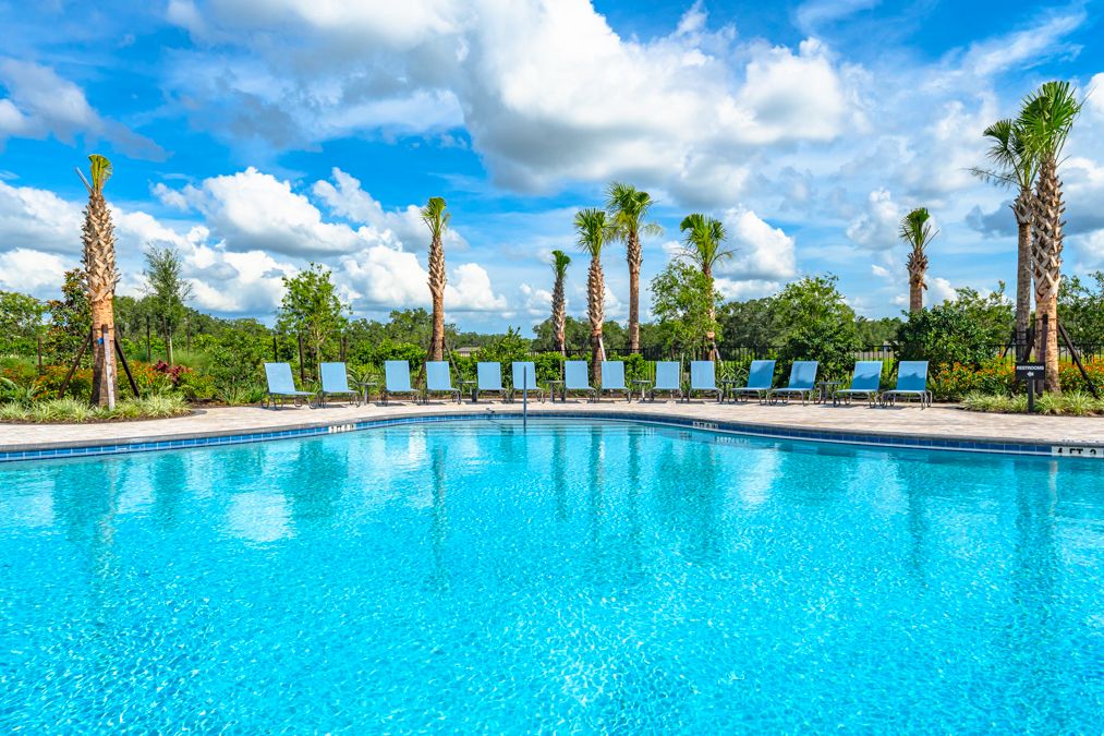Taylor Morrison  Palm Wind Amenity  Hudson FL71