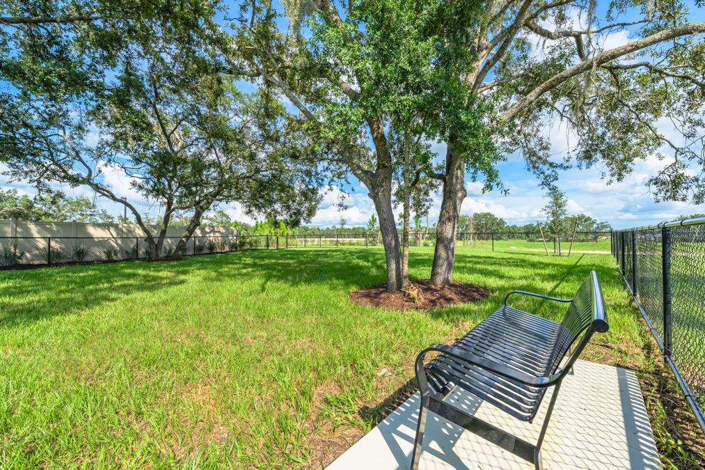 Taylor Morrison  Palm Wind Amenity  Hudson FL79