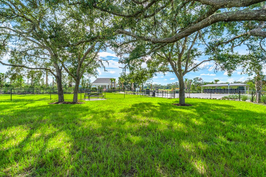 Taylor Morrison  Palm Wind Amenity  Hudson FL80