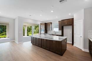 Lazio - Esplanade at Wiregrass Ranch: Wesley Chapel, Florida - Taylor Morrison