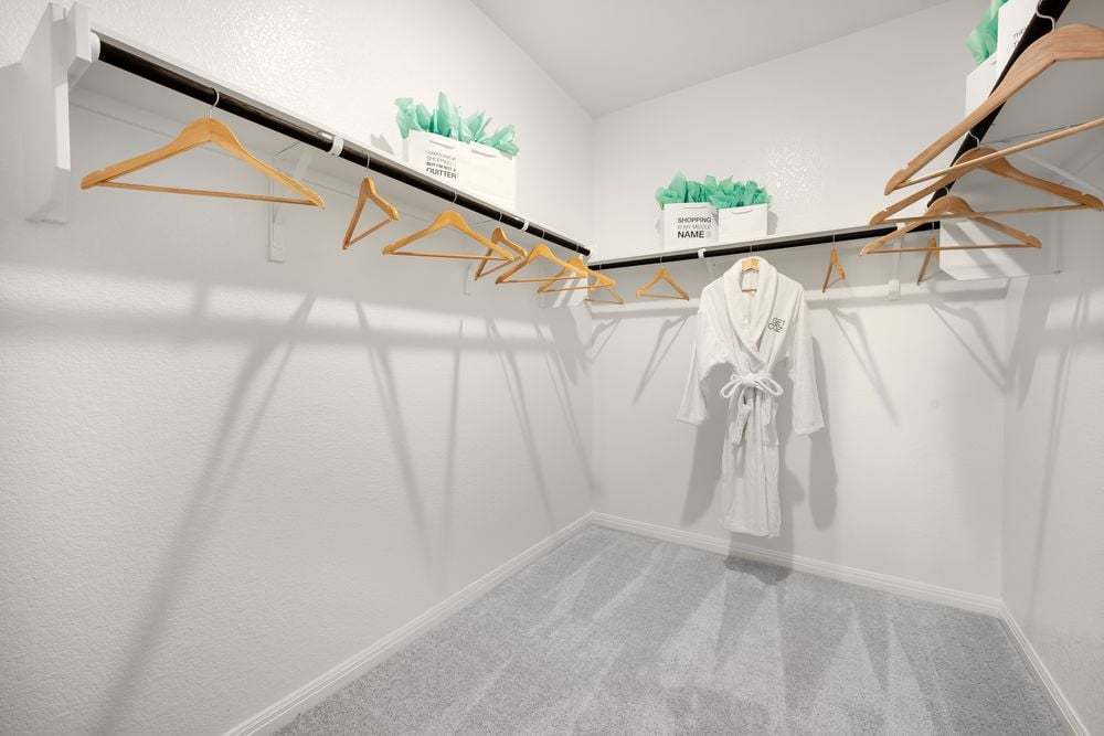 SR Hawk Walk in closet