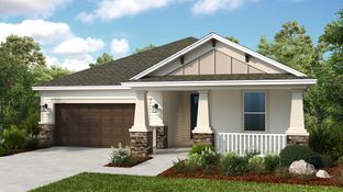 Antillia - Colbert Landings: Palm Coast, Florida - Taylor Morrison