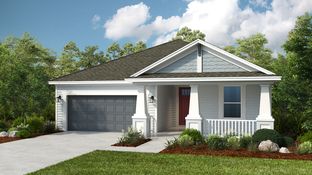 Antillia - Colbert Landings: Palm Coast, Florida - Taylor Morrison