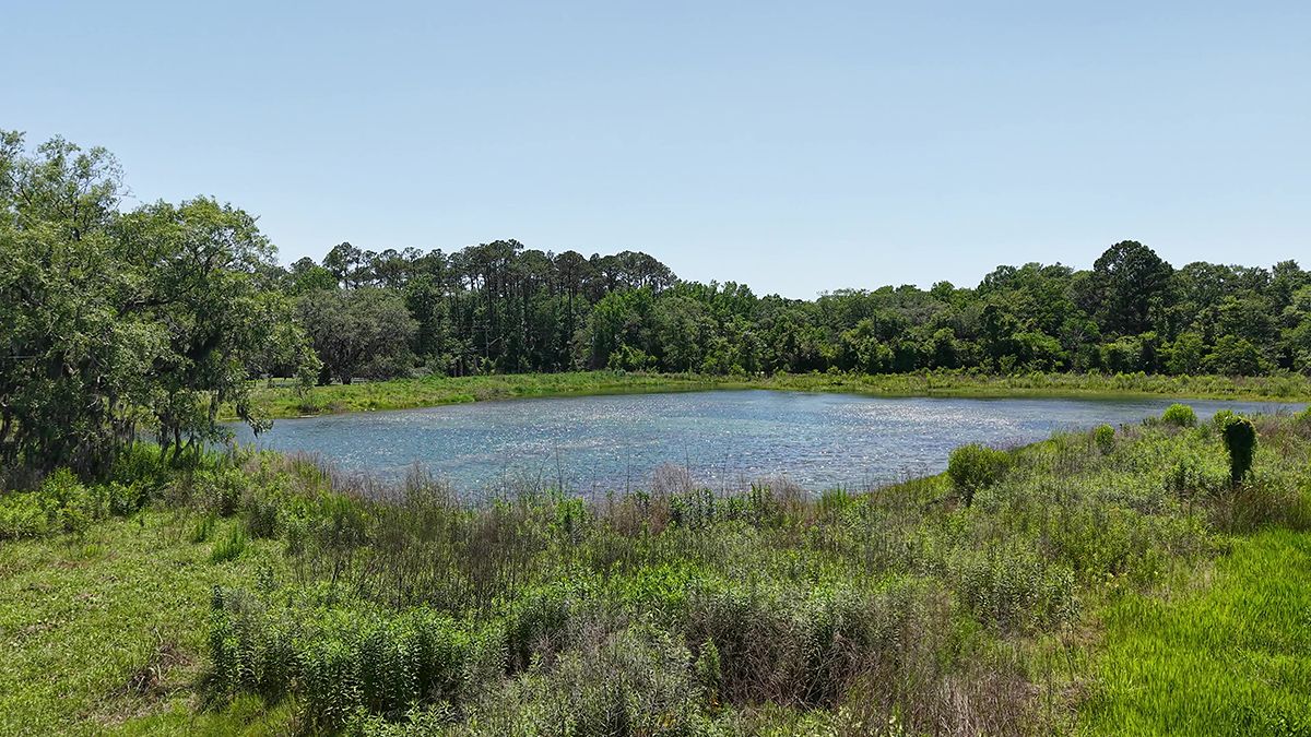 Coopers-Meadow-0688-1200x675