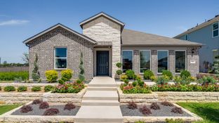 Finch - Longview 50s: Del Valle, Texas - Taylor Morrison