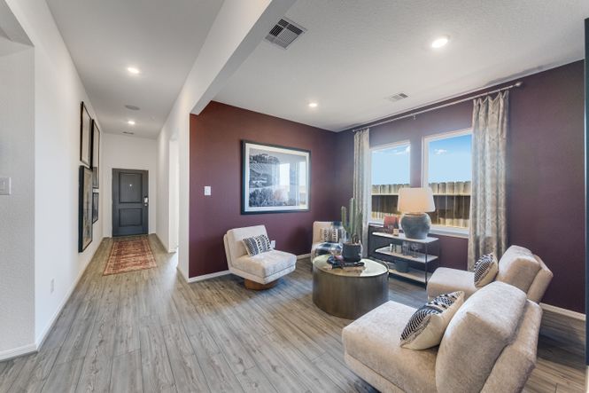 hj-tx-houston-brookewater-603-yaupon-holly-co...