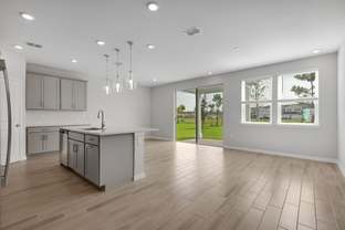 Birch - Cherry Elm at SilverLeaf: St Augustine, Florida - Taylor Morrison