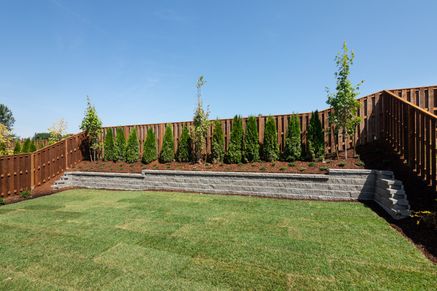 Piper Ridge Fuchsia Backyard