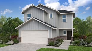 Juliet - Mason Woods 40s: Cypress, Texas - Taylor Morrison