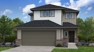 Paisley - Mason Woods 40s: Cypress, Texas - Taylor Morrison