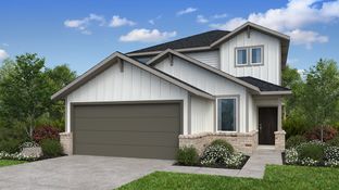 Nolan - Mason Woods 40s: Cypress, Texas - Taylor Morrison
