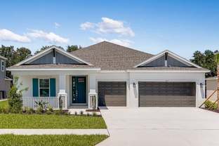 Maui - Timber Ridge: Plant City, Florida - Taylor Morrison