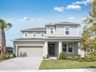 Bermuda - Ardisia Park: New Smyrna Beach, Florida - Taylor Morrison