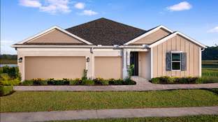 Saint Croix - Ardisia Park: New Smyrna Beach, Florida - Taylor Morrison