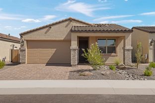 Dolce - CantaMia at Estrella 55+: Goodyear, Arizona - Taylor Morrison