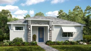 Lucca - Esplanade at Azario Lakewood Ranch: Lakewood Ranch, Florida - Taylor Morrison
