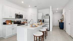 The Towns at Skye Ranch - Sarasota, FL
