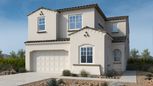 Verdin Discovery Collection - Phoenix, AZ