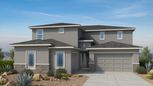Verdin Passage Collection - Phoenix, AZ