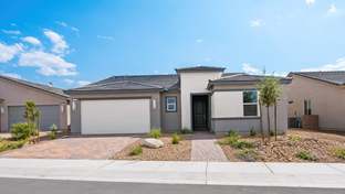 Primrose - Ovation at Mountain Falls 55+: Pahrump, Nevada - Taylor Morrison