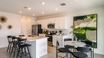 casa en Marion Creek por Taylor Morrison