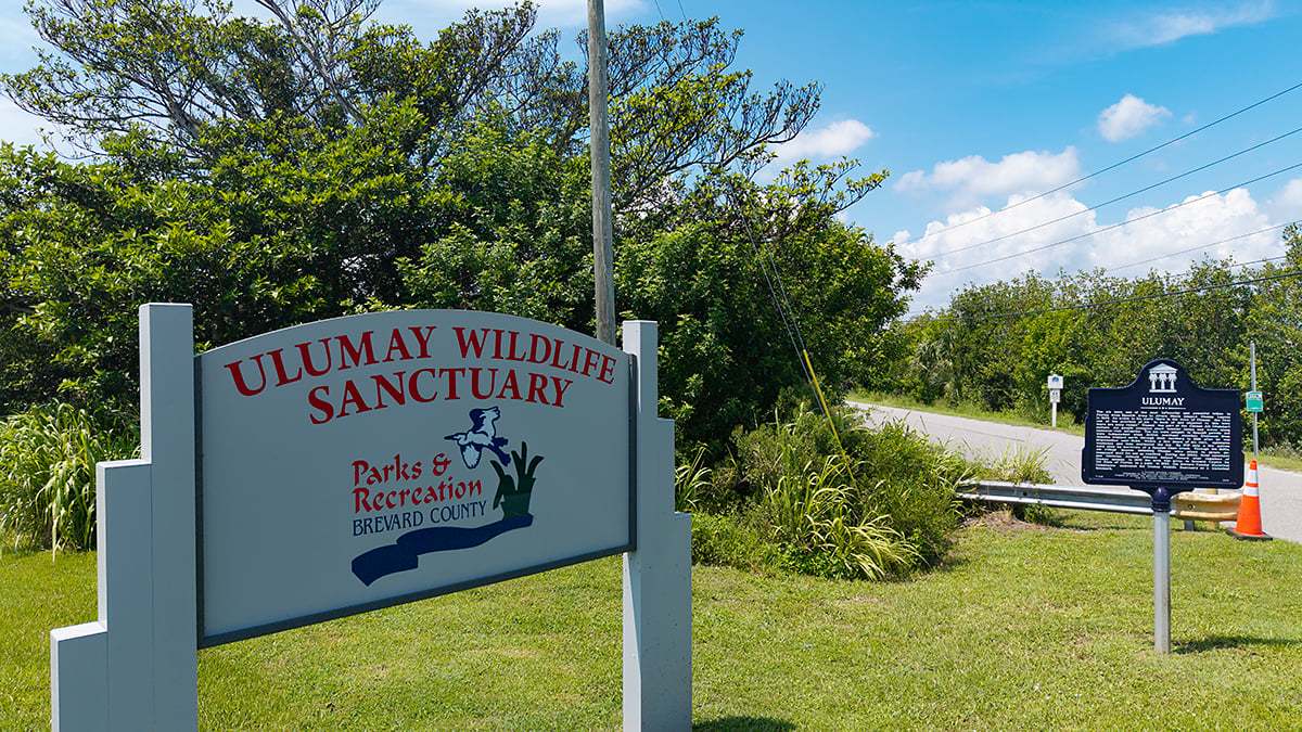 Ulumay-Wildlife-Sanctuary-0387-1200x675