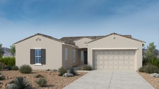 Everglade - Verdin Passage 50's Collection: Phoenix, Arizona - Taylor Morrison