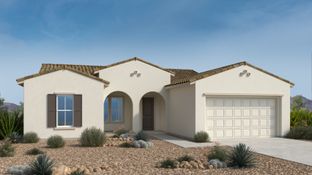 Redrock - Verdin Passage 50's Collection: Phoenix, Arizona - Taylor Morrison