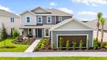 Firethorn - Parrish, FL