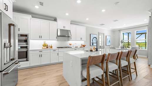 Firethorn Sand Key Model-21 PS kitchen